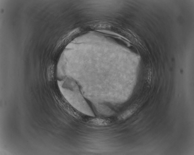 X0000085740326200704091516