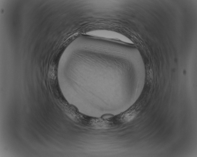 X0000085740331200704091516