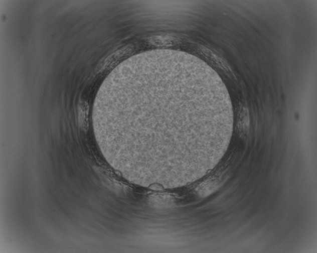 X0000085740332200704091516