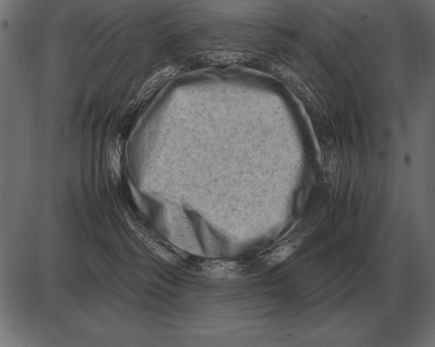 X0000085740334200704091516