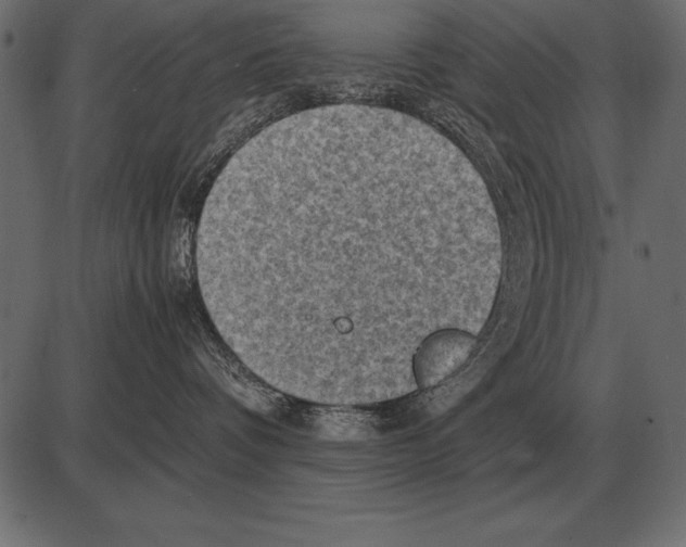 X0000085740336200704091516