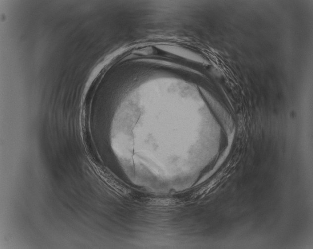 X0000085740342200704091515