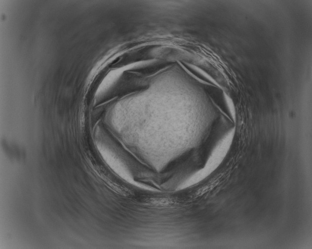X0000085740344200704091515