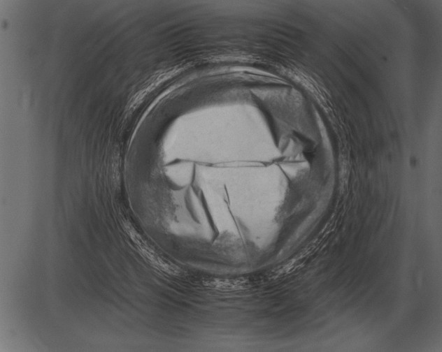 X0000085740345200704091515