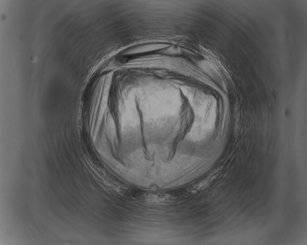 X0000085740346200704091515
