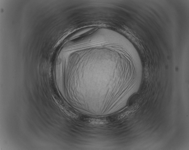 X0000085740347200704091515