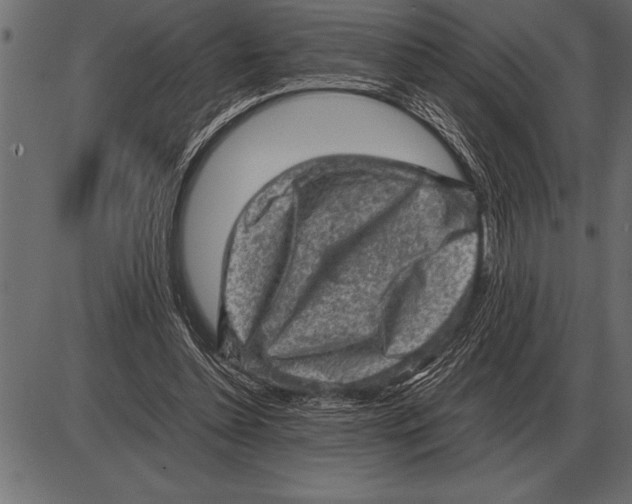 X0000085740348200704091515