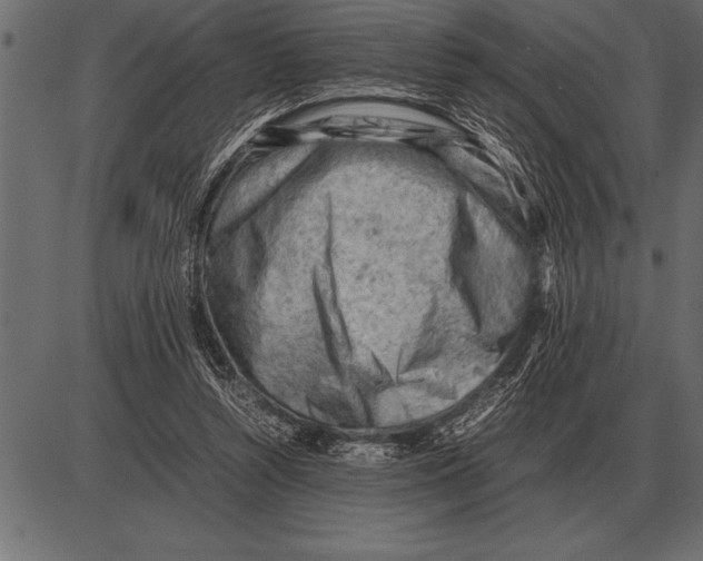 X0000085740352200704091515