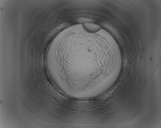 X0000085740353200704091515