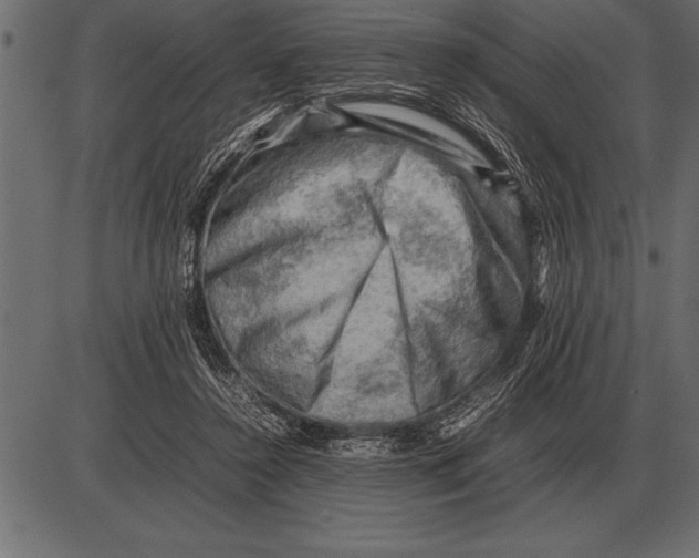 X0000085740356200704091516