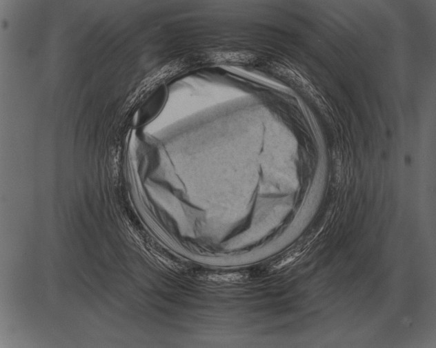 X0000085740357200704091516