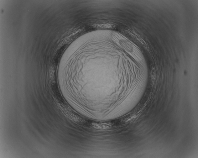 X0000085740359200704091516