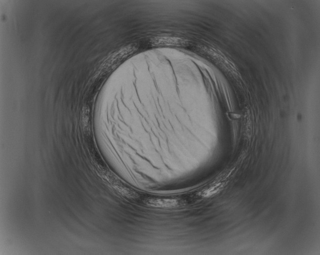 X0000085740361200704091516