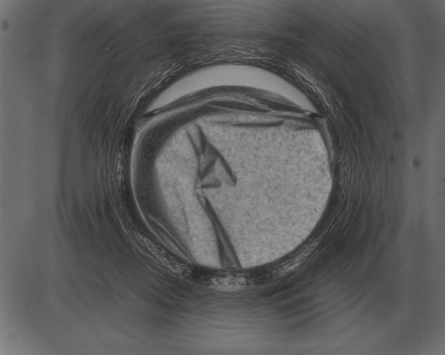 X0000085740362200704091516