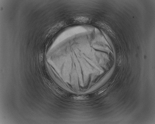 X0000085740365200704091516