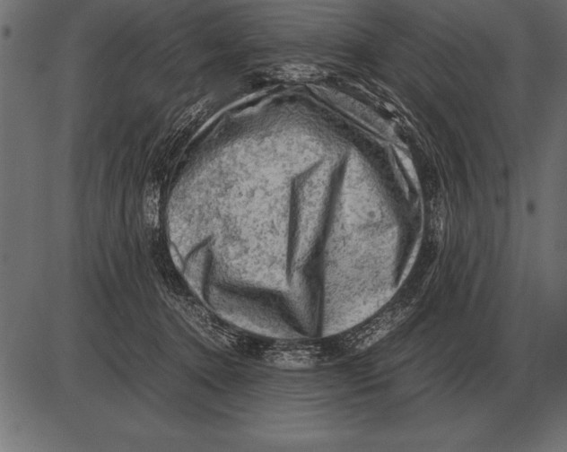 X0000085740368200704091516