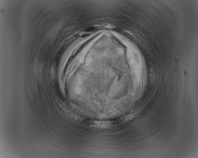 X0000085740371200704091516