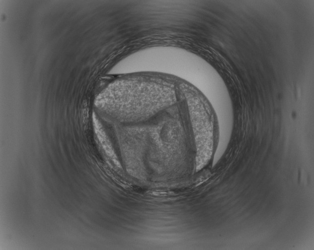 X0000085740372200704091516