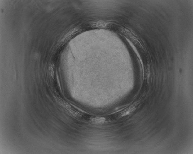 X0000085740374200704091516