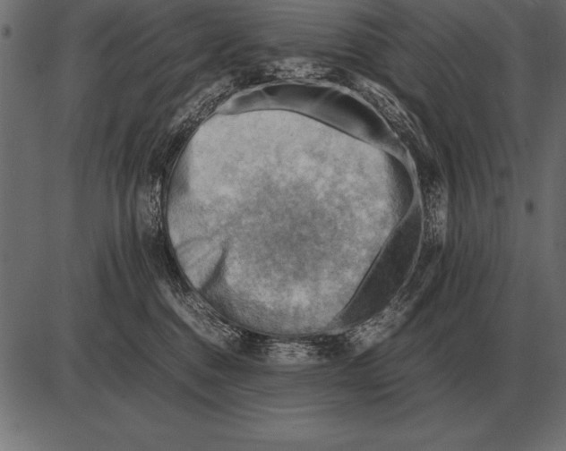 X0000085740376200704091516
