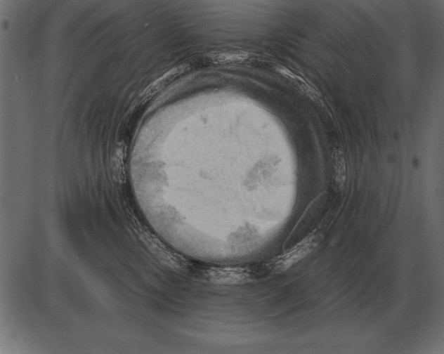 X0000085740378200704091516