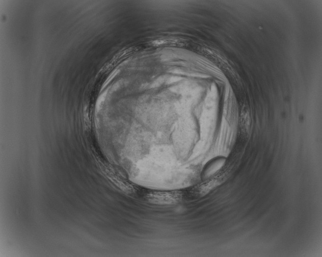 X0000085740381200704091516
