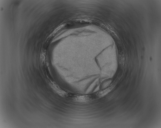 X0000085740382200704091516