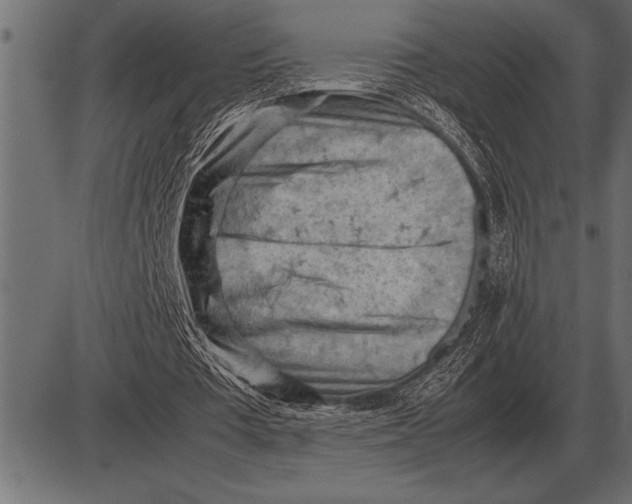 X0000085740385200704091515