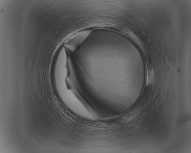 X0000085740387200704091515