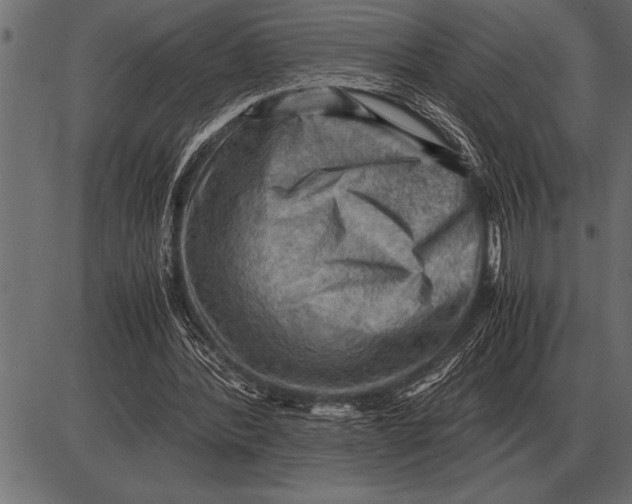 X0000085740388200704091515