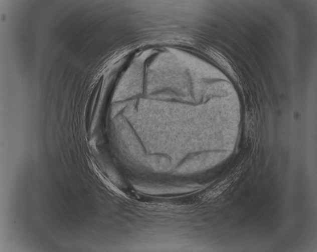 X0000085740389200704091515