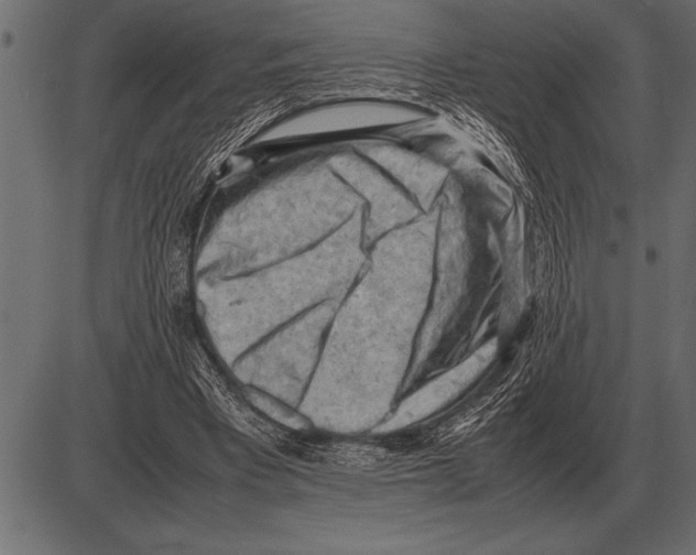 X0000085740393200704091515