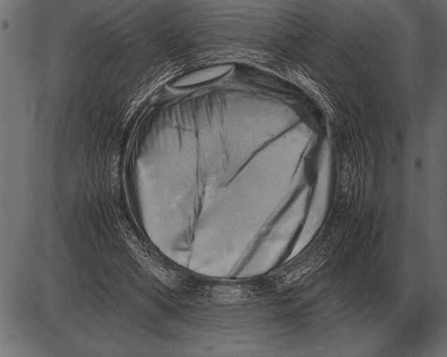 X0000085740394200704091515