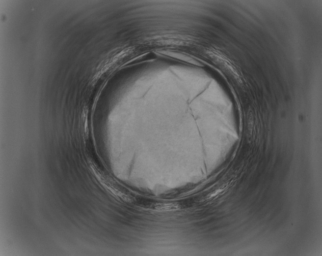 X0000085740398200704091515