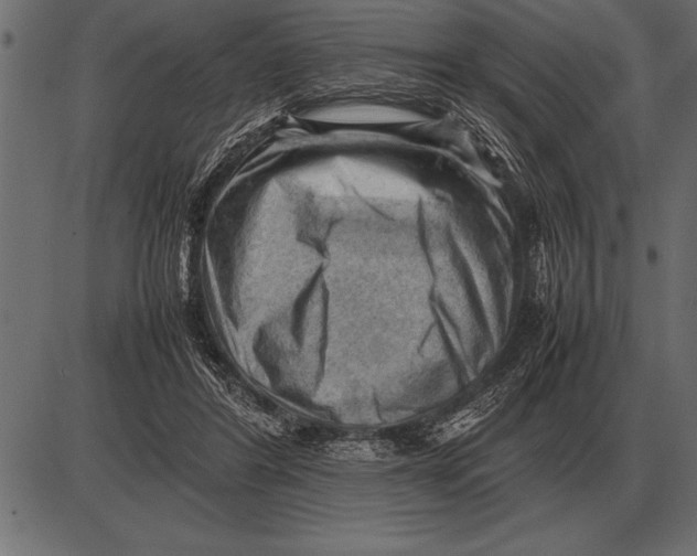 X0000085740404200704091515