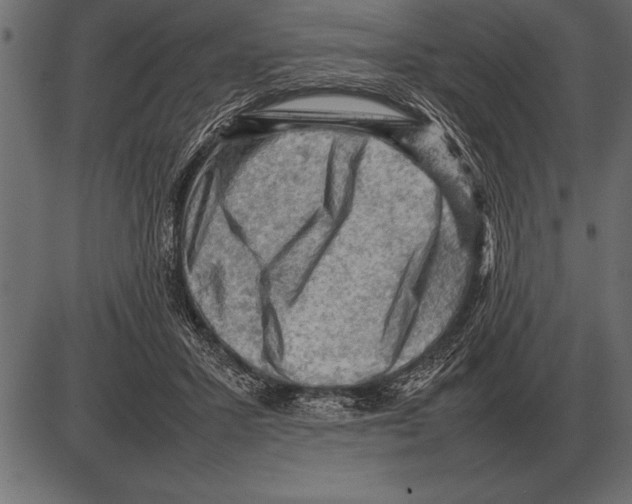 X0000085740407200704091515
