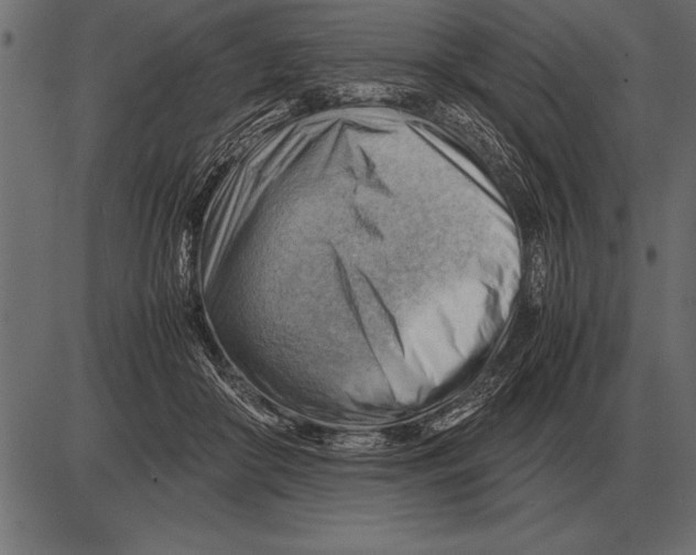 X0000085740410200704091515