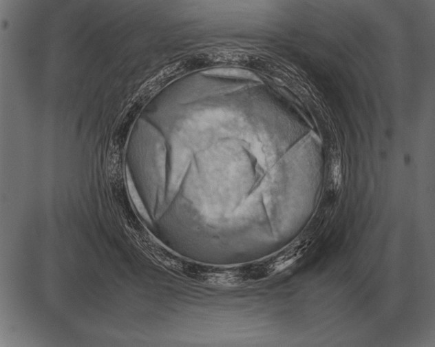 X0000085740411200704091515