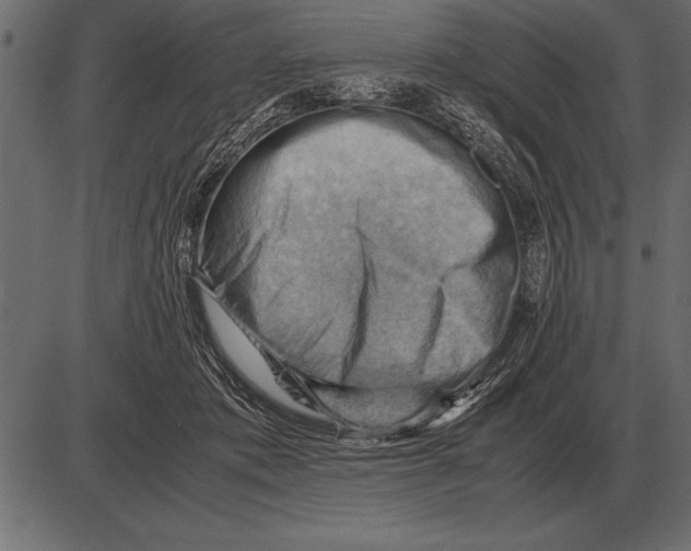 X0000085740413200704091515