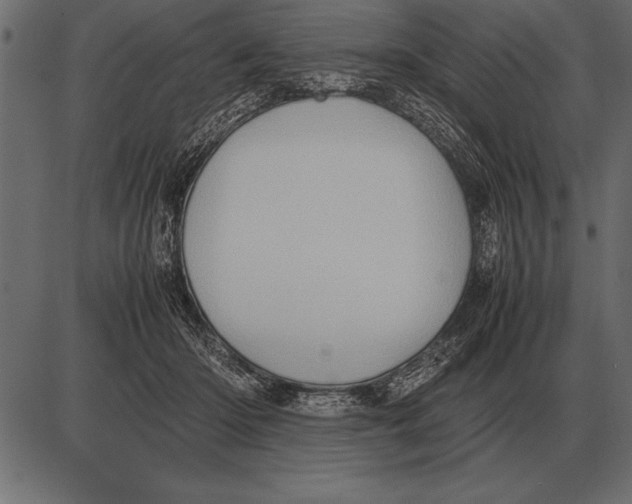 X0000085740414200704091515