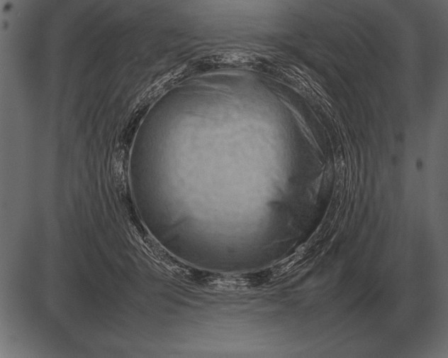 X0000085740415200704091515