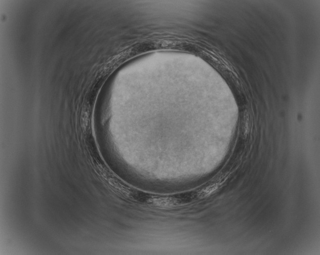 X0000085740417200704091515