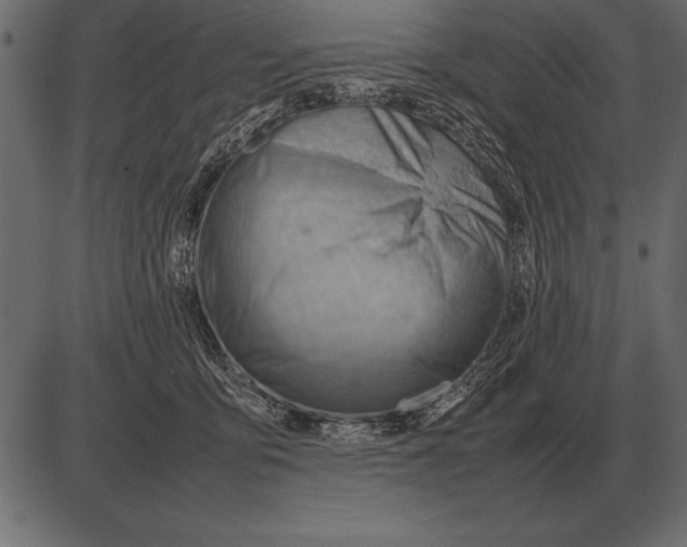 X0000085740419200704091515