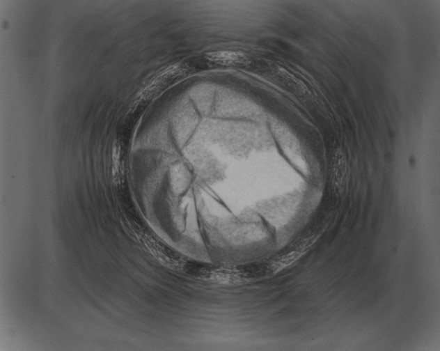X0000085740420200704091515