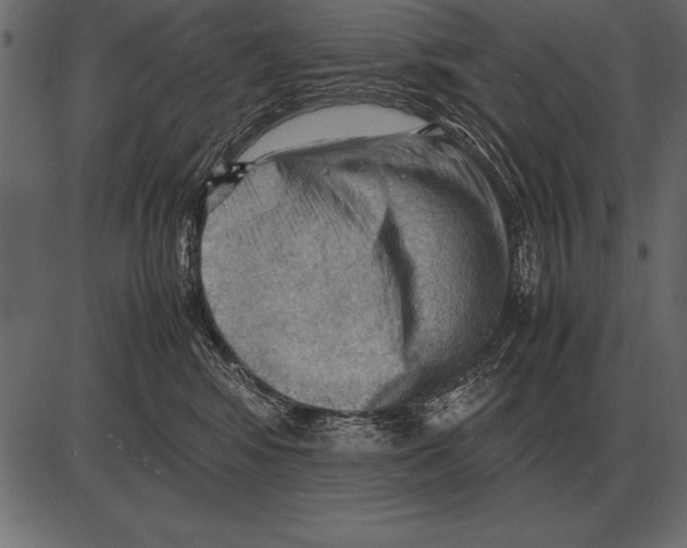 X0000085740424200704091515