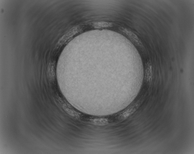 X0000085740426200704091514