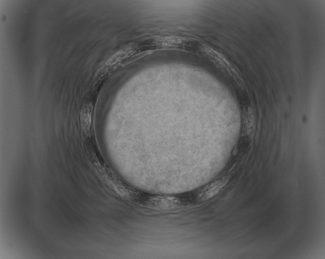 X0000085740427200704091514