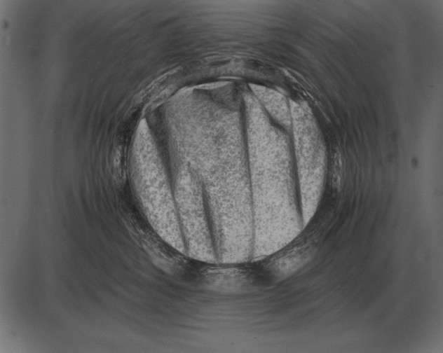 X0000085740428200704091514