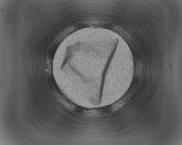 X0000085740430200704091514