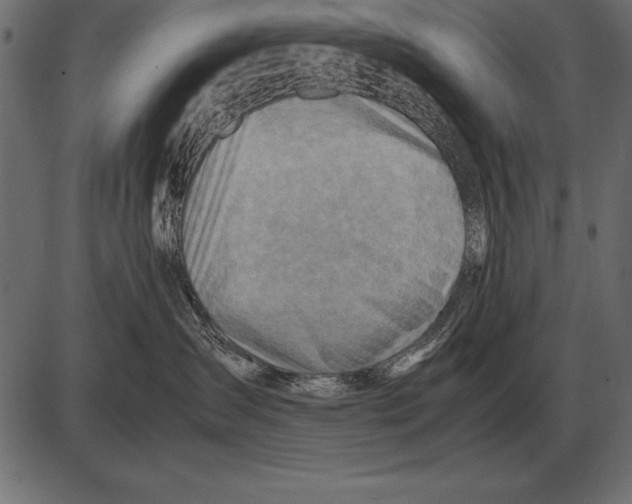 X0000085740431200704091514